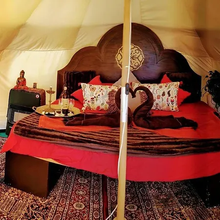 Unique Stargazing Escape With Ocean View * Fasnia