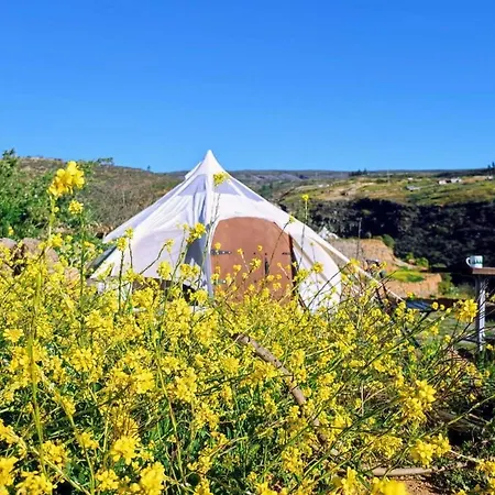 Holiday home Unique Stargazing Escape With Ocean View