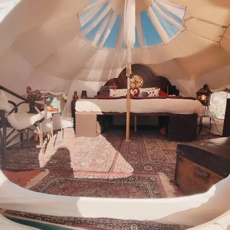 Unique Stargazing Escape With Ocean View *